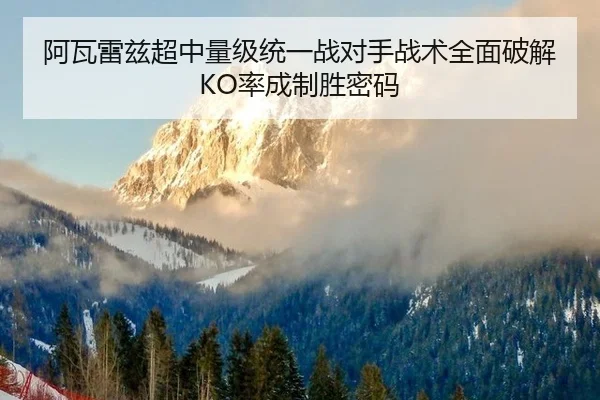 a-wa-lei-zi-chao-zhong-liang-ji-tong-yi-zhan-dui-shou-zhan-shu-quan-mian-po-jie-lv-cheng-zhi-sheng-mi-ma-2-306.jpg